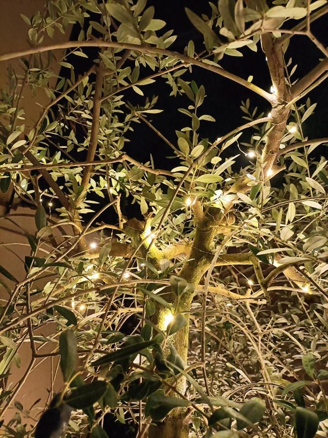 Bed and Breakfast Bb Letterario Ravenna Exterior foto